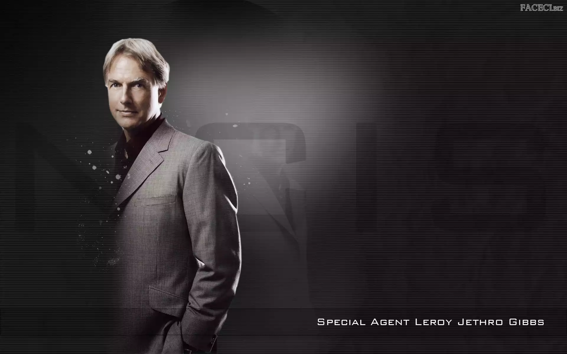Mark Harmon, Serial, Agenci NCIS